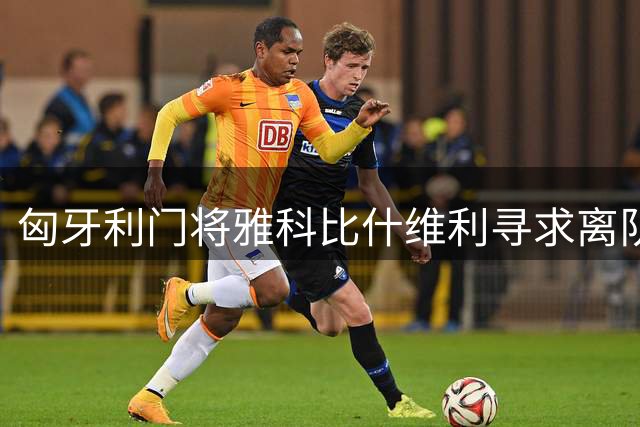匈牙利门将雅科比什维利寻求离队 渴望稳定出场机会