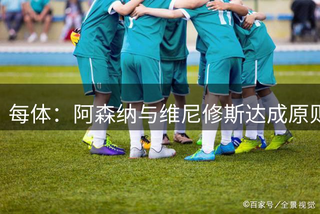 每体：阿森纳与维尼修斯达成原则协议，将给出一份天价报价